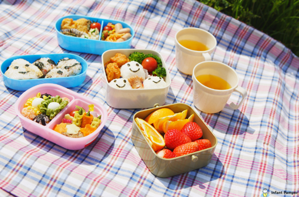Family Picnic with Infant and Toddler food ideas