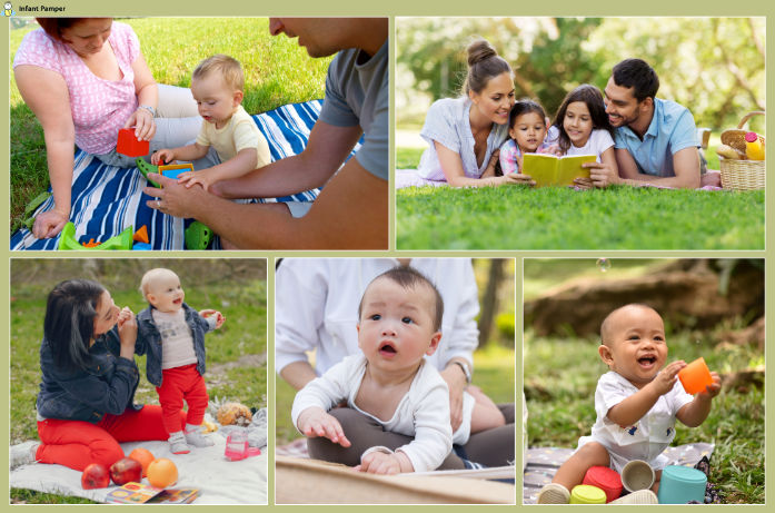 Family Picnic with kids games