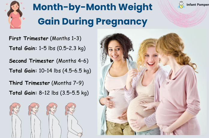 Month-by-Month Weight Gain During Pregnancy