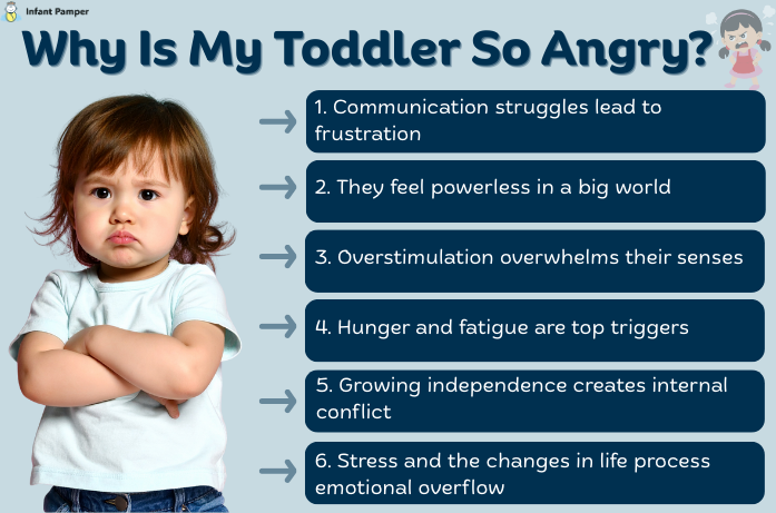 Why Is My Toddler So Angry