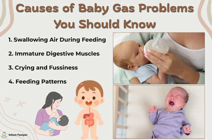 Causes of Baby Gas Problems You Should Know