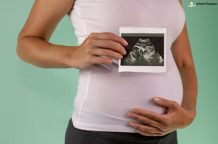 The Second Trimester Weeks 13–27