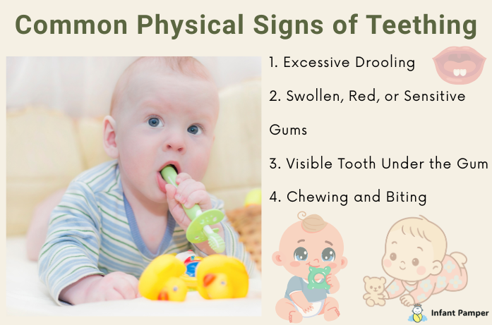 How to Know My Baby Is Teething Common Physical Signs of Teething