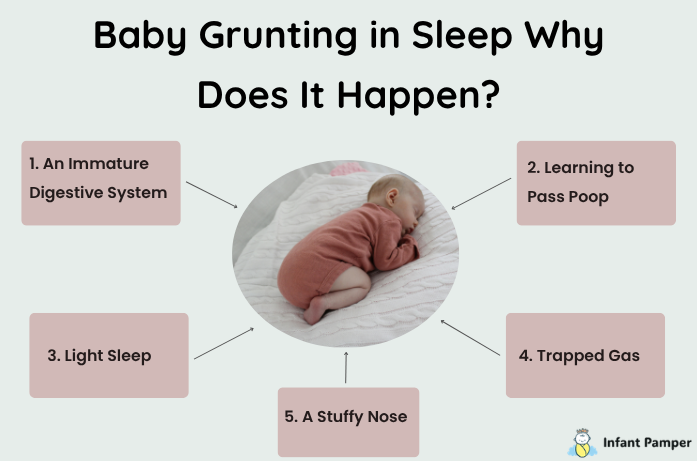 Baby Grunting in Sleep Why Does It Happen