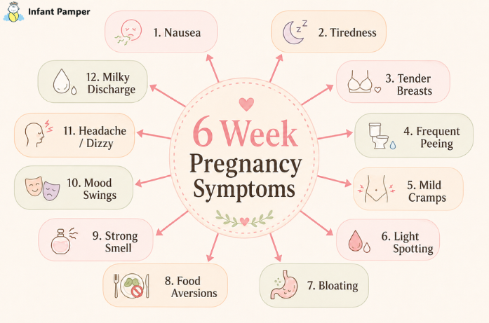 Common 6 Week Pregnancy Symptoms